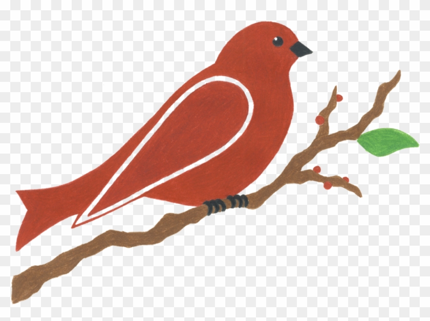 Red Bird Landscapes & Edible Gardens - Red Bird Landscapes & Edible Gardens #329023