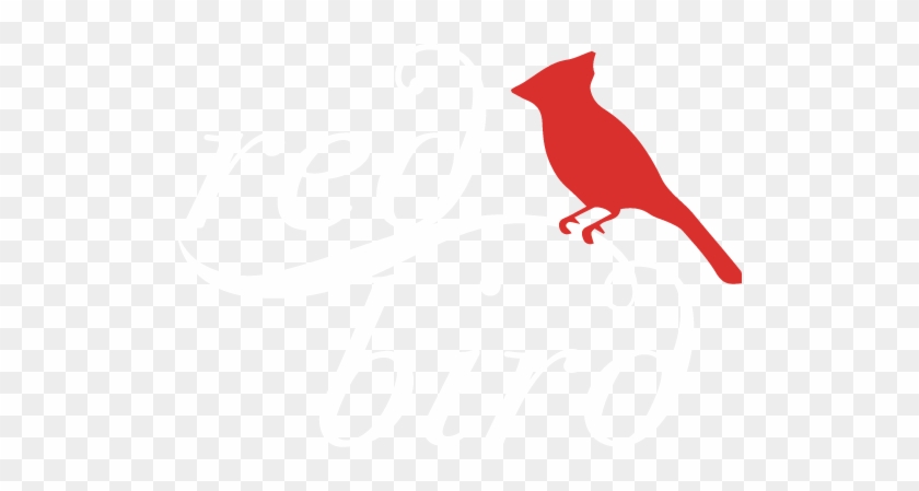 Red Bird Is A Restaurant Located In Waltham Massachusetts - Northern Cardinal #329117