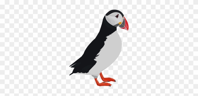 Puffin Clipart Cute Cartoon - Atlantic Puffin #329133