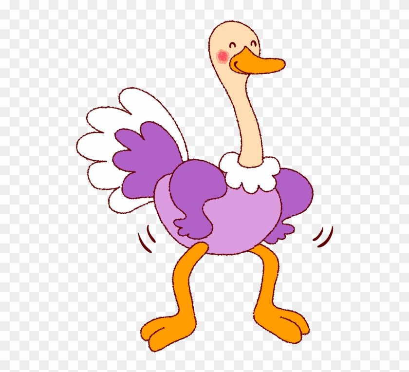 Common Ostrich Drawing Illustration - Common Ostrich Drawing Illustration #329138