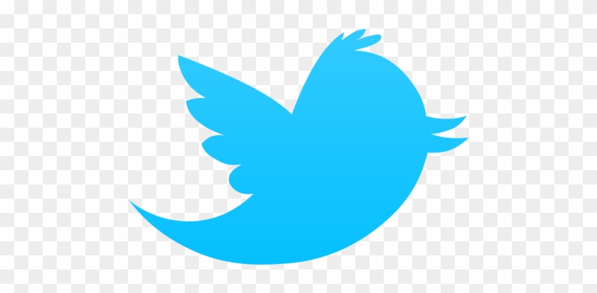 Official Twitter Icon Png Image - Twitter Bird Png #329147