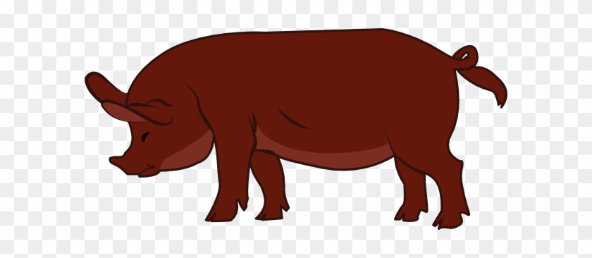 Duroc Pig Clip Art At Clker - Drawings Of Duroc Pig #329180