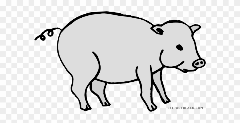 Grayscale Pig Animal Free Black White Clipart Images - Pig #329210