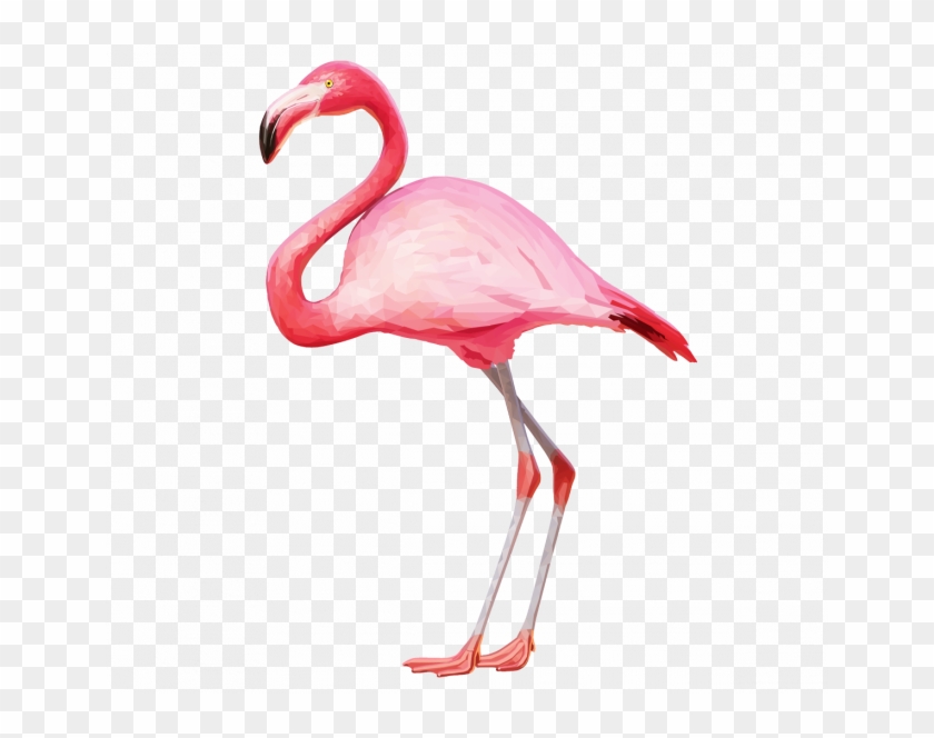 Flamingo Png Nice Coloring Pages For Kids - Flamingo Png #329222