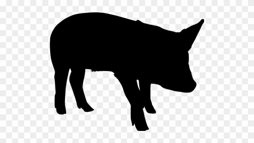 Transparent Black Pig #329393