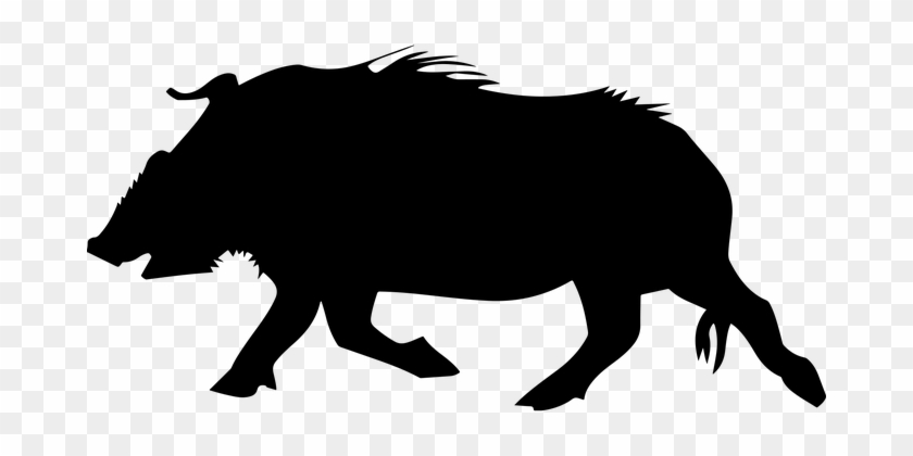 Animal Beast Boar Pig Silhouette Wild Wild - Wild Boar Silhouette #329432