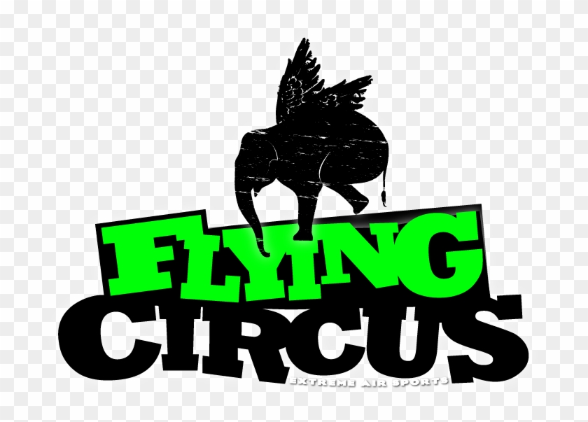 Flying Circus #329446