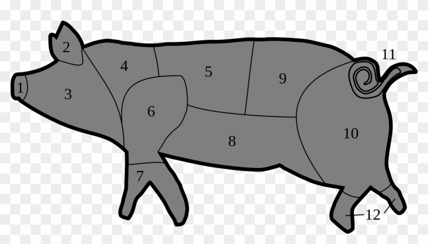 Italian Pork Cuts - Pork Belly On Pig #329452