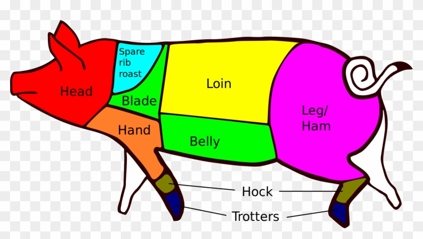 British Pork Cuts - Primal Cuts Of Pork #329487