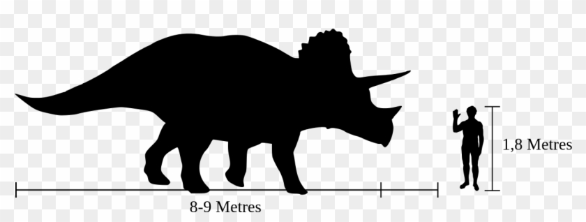 Human-triceratops Size Comparison Ca - Big Is A Triceratops #329506