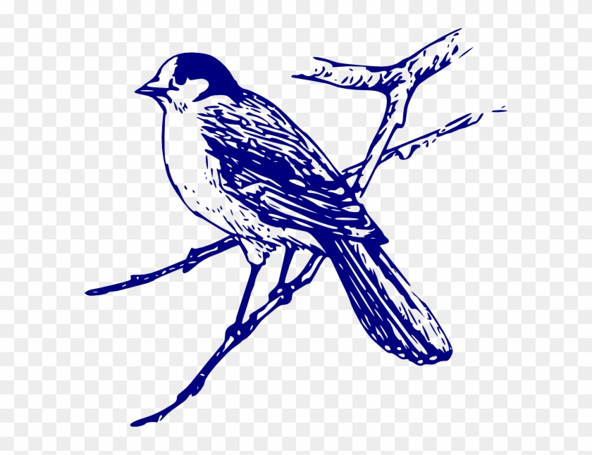 Tit - Clipart - Blue Bird Images Free #329520