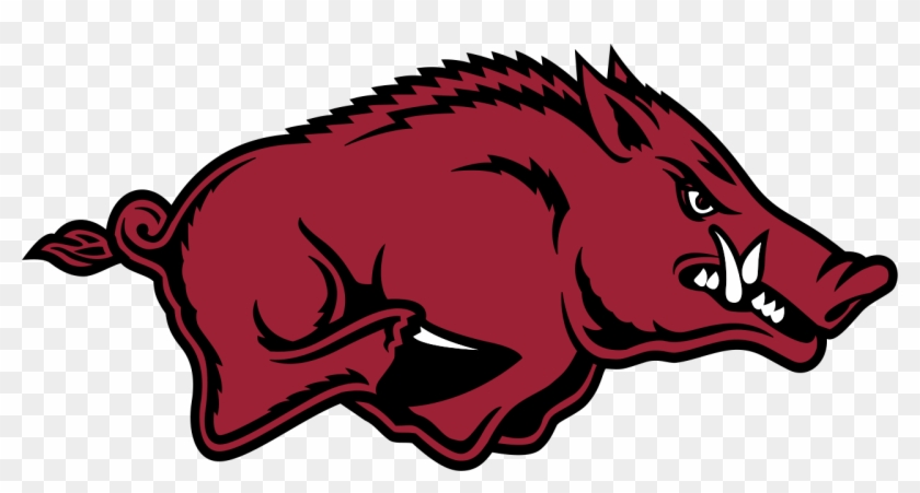 University Of Arkansas Razorback #329708