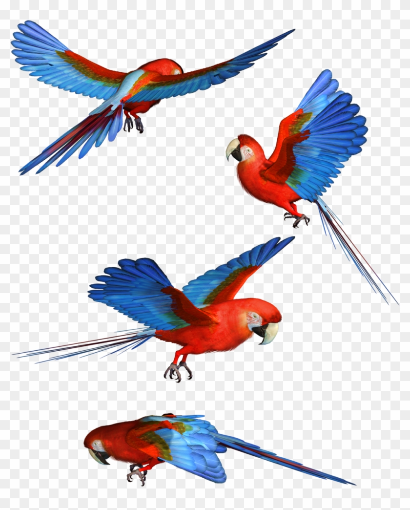 Macaw Png Hd - Flying Parrot Png #329823
