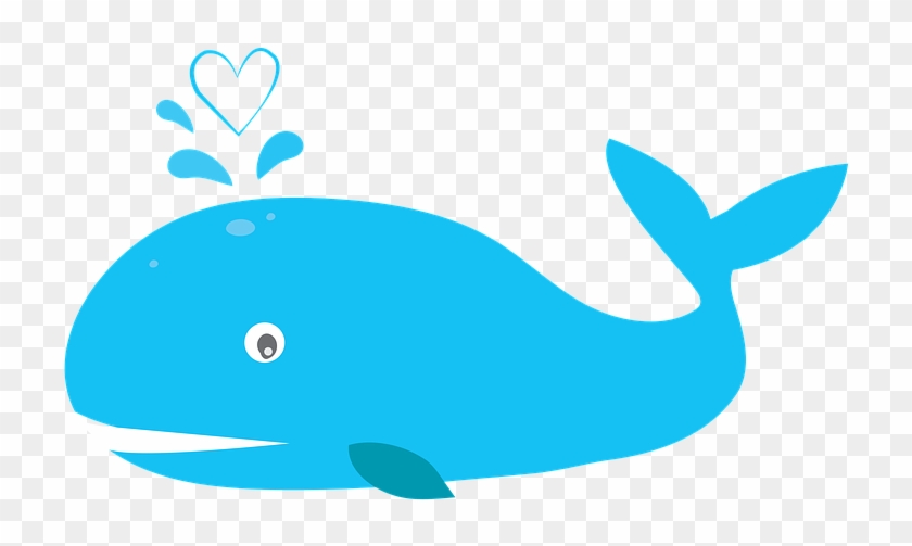 Beluga Whale Cliparts 21, - Blue Whale Whale Png #329858