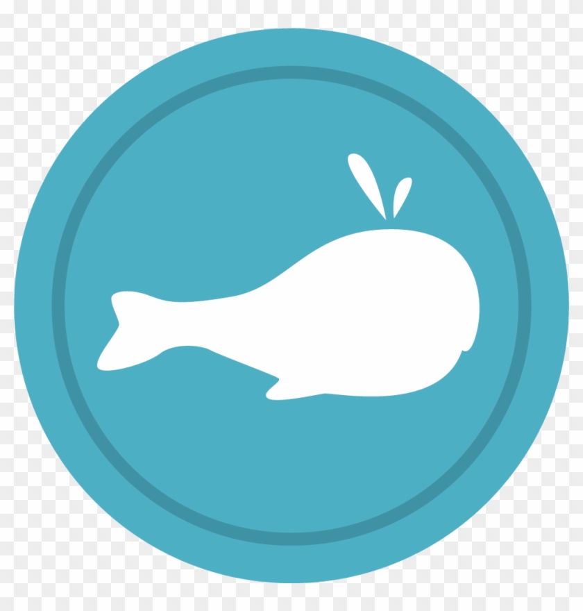 Moby-dick Beluga Whale Marine Mammal - Cetacea #329862