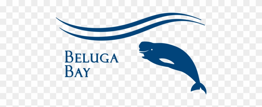 Beluga Whale Clipart Shamu - Beluga Whale #329904