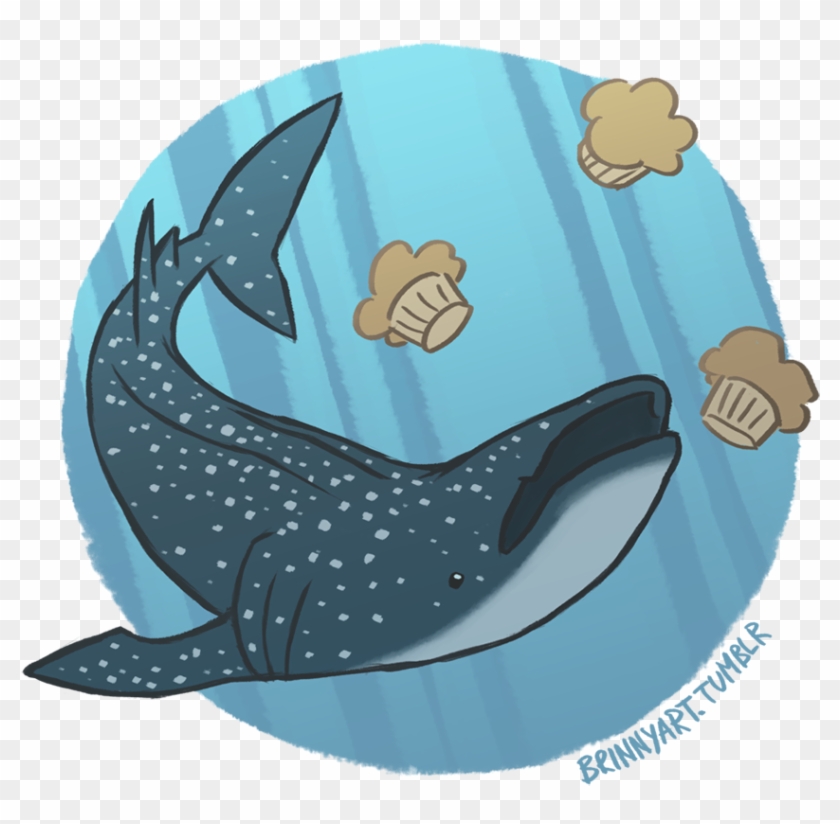Growth Cartoon Beluga Whale Attractive Sharks Vs Belugas - Drawing #329939