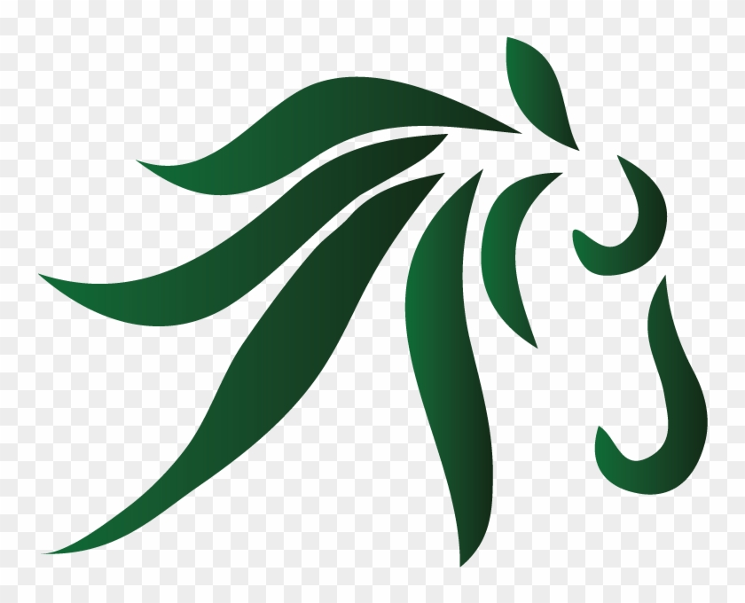 Oasis Equestrian Oasis Equestrian Oasis Equestrian - Oasis Equestrian Oasis Equestrian Oasis Equestrian #329983