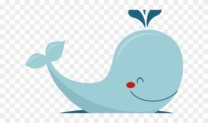 Zoom - Cetacea #330061