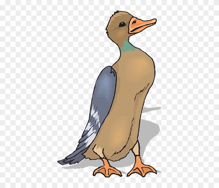 Feathers Brown, Bird, Duck, Wings, Standing, Animal, - Bebek Vektor Png #330063