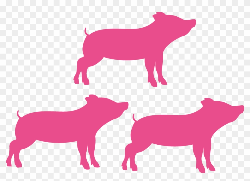 Feed That Is Used To Produce The Piglet But Also Feed - Feed That Is Used To Produce The Piglet But Also Feed #330129