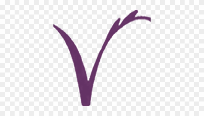 Vera's Revival Oasis - Vera's Revival Oasis #330150