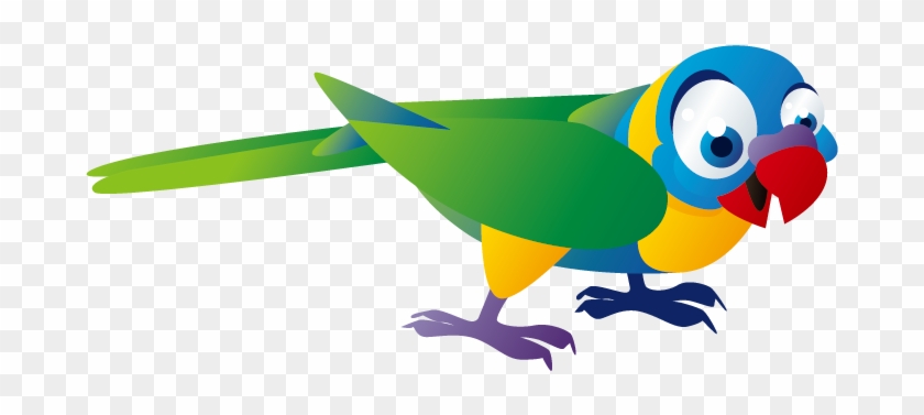 Bird Monk Parakeet Cuento Infantil Bxe1seu0148 Childhood - Bird Monk Parakeet Cuento Infantil Bxe1seu0148 Childhood #330158