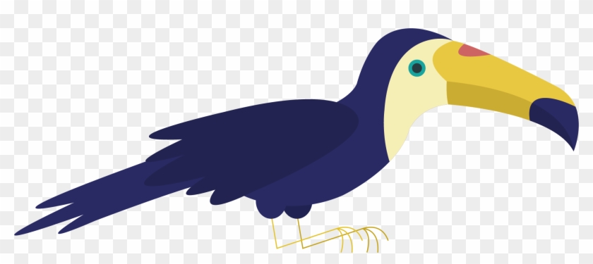 Bird Parrot Toucan Wildlife - Bird Parrot Toucan Wildlife #330195