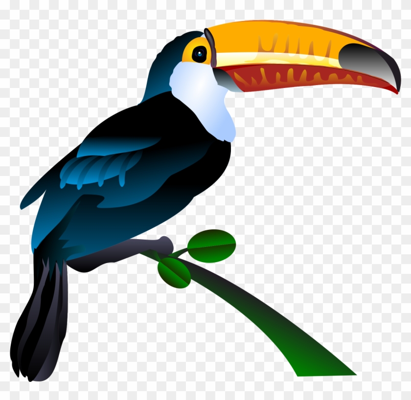 Free Photos > Vector - Toucan Clipart #330216