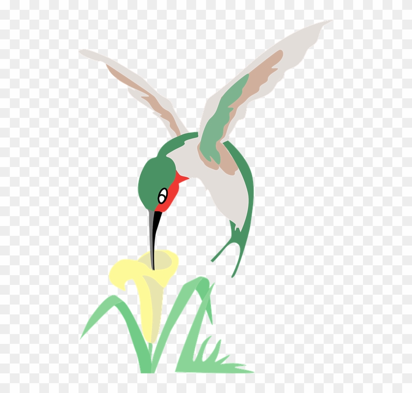 Humming Bird Cartoon 2, Buy Clip Art - Hummingbird And Flower Cartoon #330220