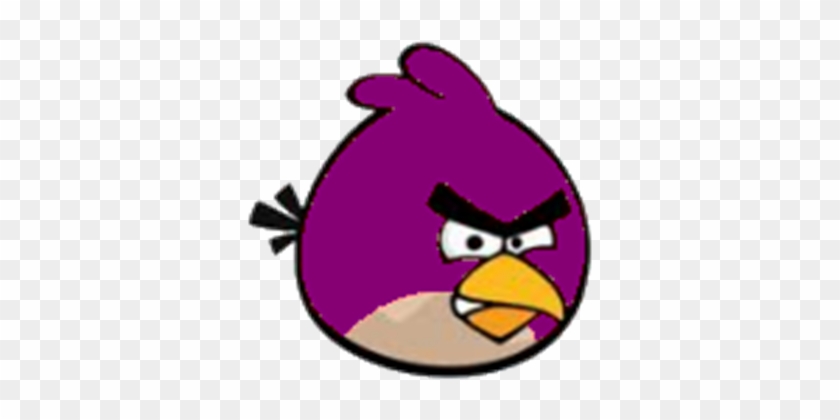 Magenta Angry Bird - Angry Birds Purple Bird #330219