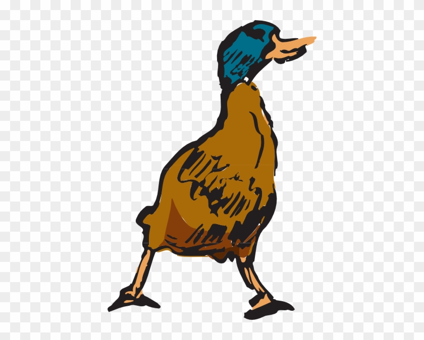 28 Collection Of Mallard Duck Clipart - Flying Brown Duck Clipart #330235