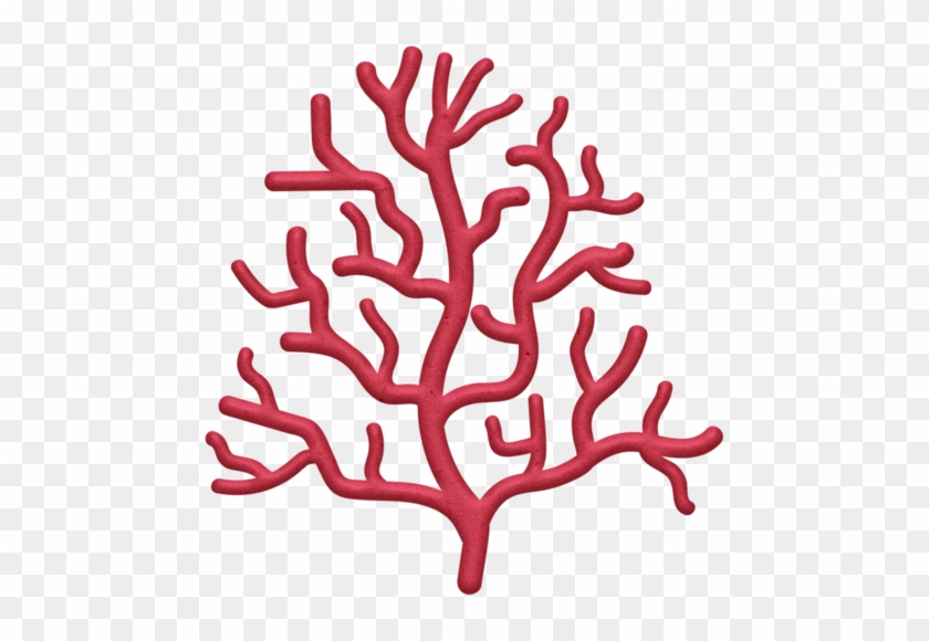 Coral - Coral Png #330253