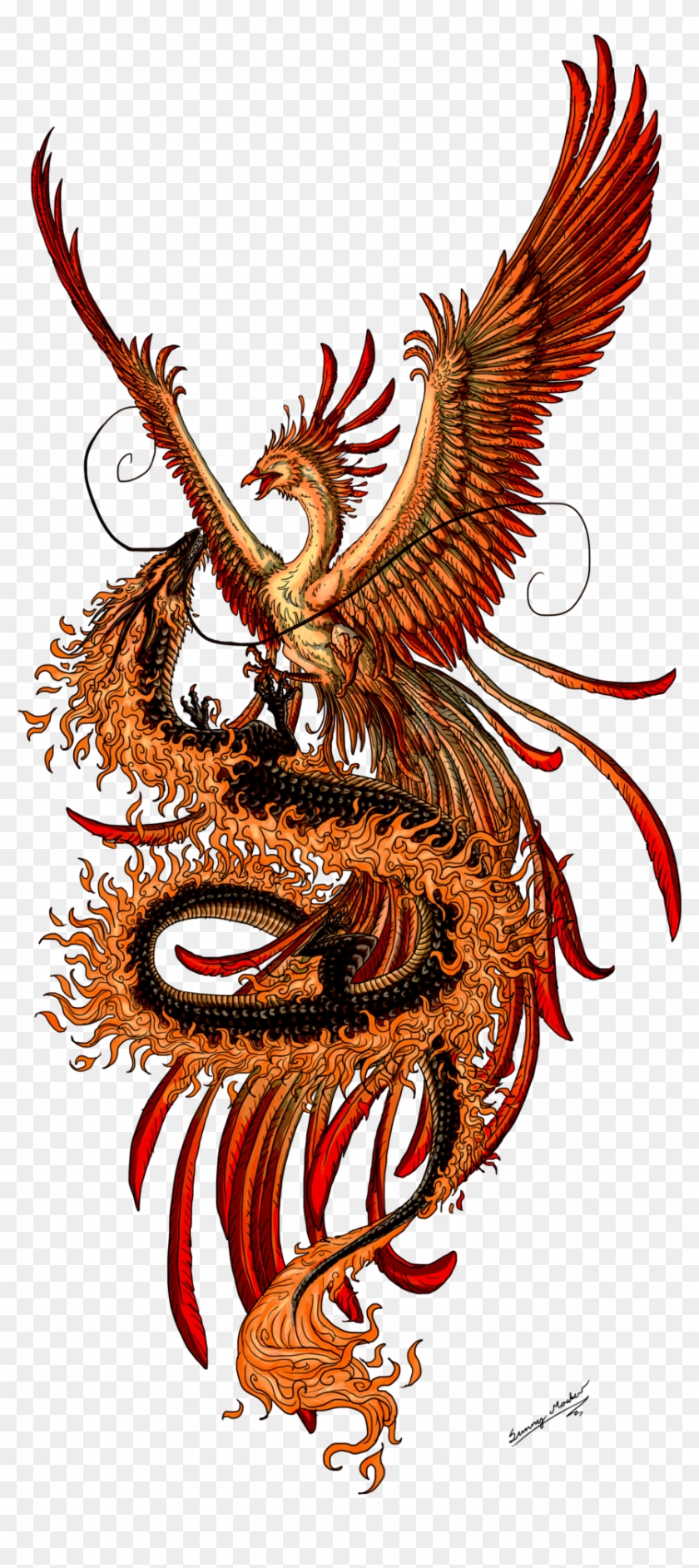 Phoenix Tattoo Design Picture - Phoenix And Dragon - Free Transparent PNG Clipart Images Download
