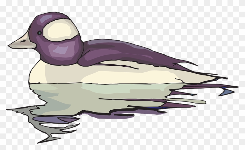 White And Purple Swimming Duck Clip Art At Clker - Yansıma Resim Çizimi #330278