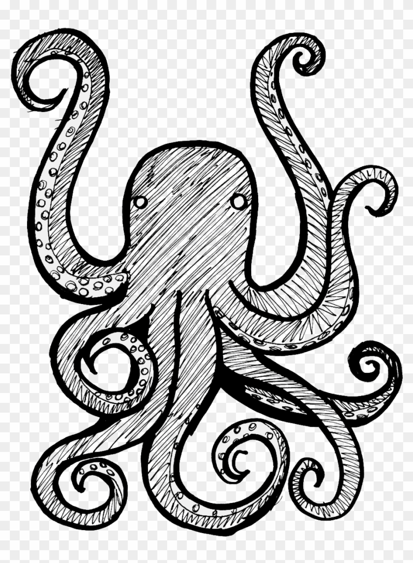Drew Piston - Home - Octopus Drawing Transparent Background #330309