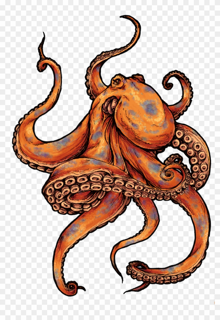 Octopus - Tattoo Octopus #330313