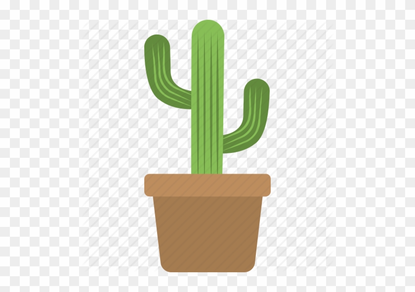 Cactus, Dry, Plant, Botanical, Nature, Dessert Icon - Cactus Icon #330428