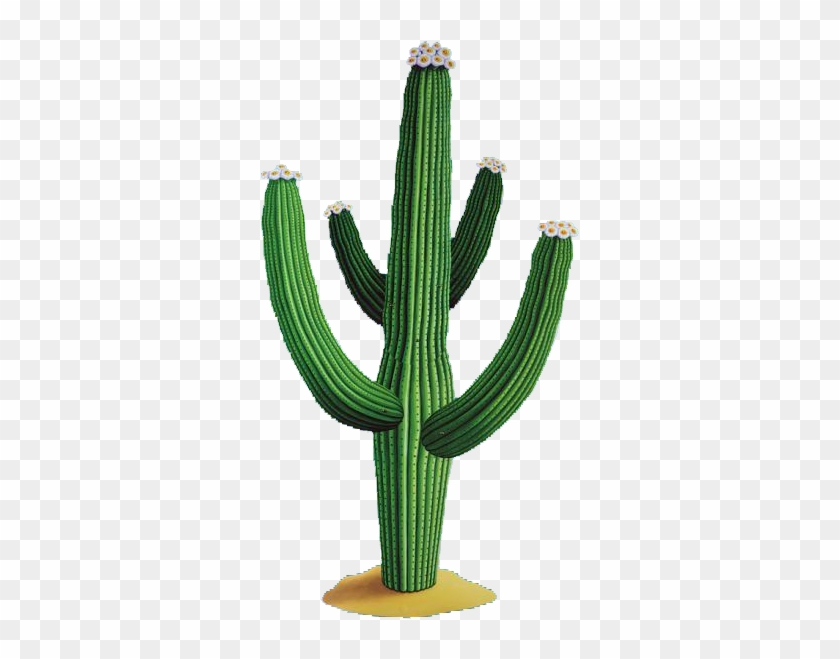 Cactus Free Png Download Vector - Cactus Jointed Cutout – 4.6 Ft / 1.4m – Pack Of 10 #330446