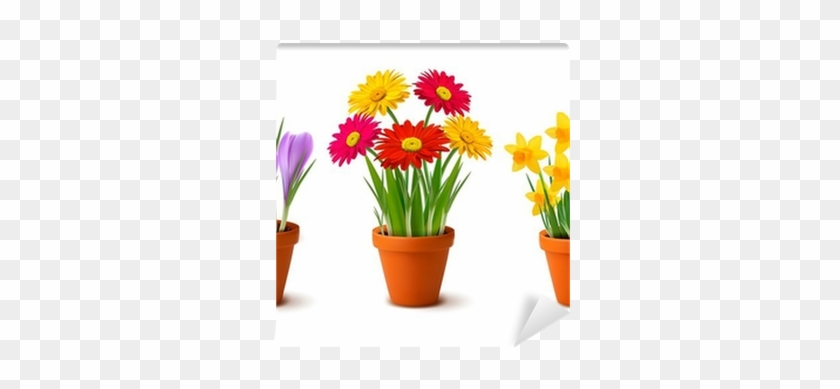 Spring Colorful Flowers In Pots - Flowers In A Flower Pot #330577