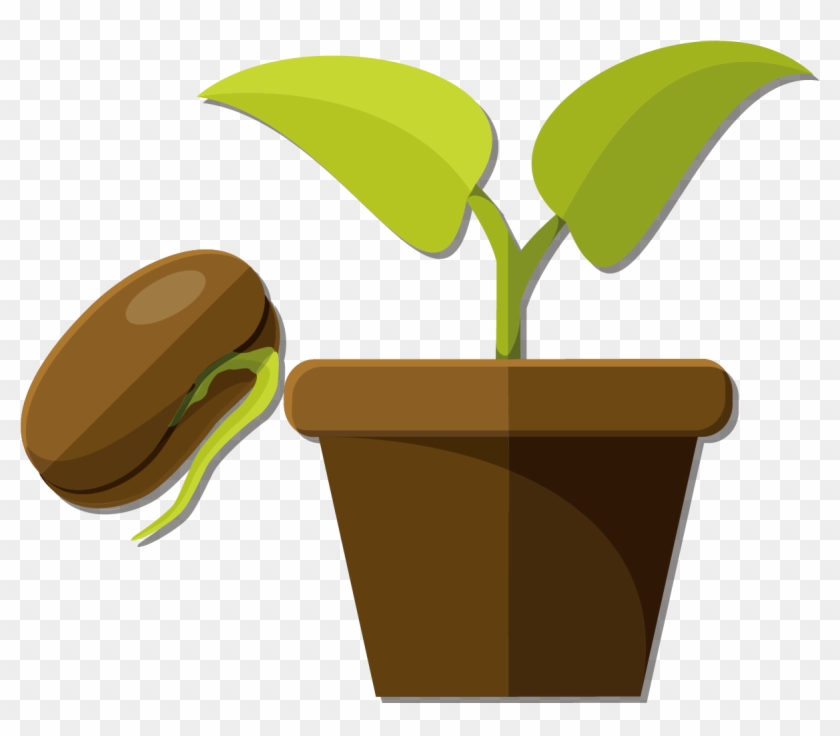 Snow Pea Flowerpot Seed - Vector Graphics #330595