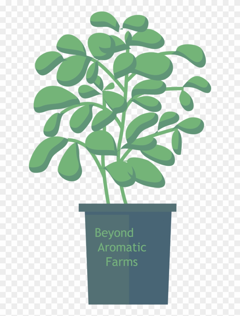 Vector Graphics #330604