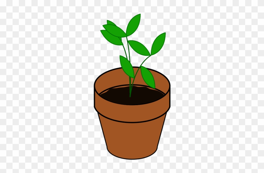 Vector De La Imagen De Sencilla Planta En Una Maceta - Im Not Old I Just Need Re-potting Round Ornament #330607