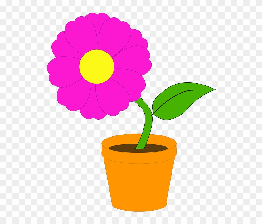¿qué Es Una Planta - Flower In A Pot #330626