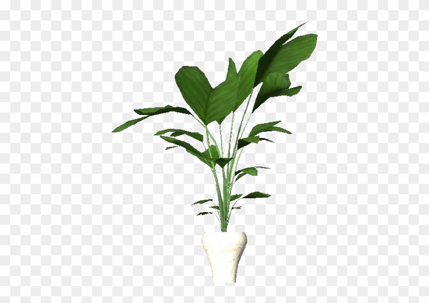 Latest Plantas D Planta En Maceta Para With Plantas - Plantas En Macetas Png #330633