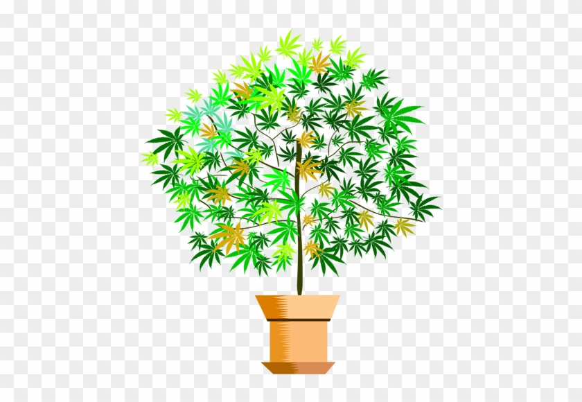 Imagen Vectorial De Planta En Maceta - Plant Clipart #330642