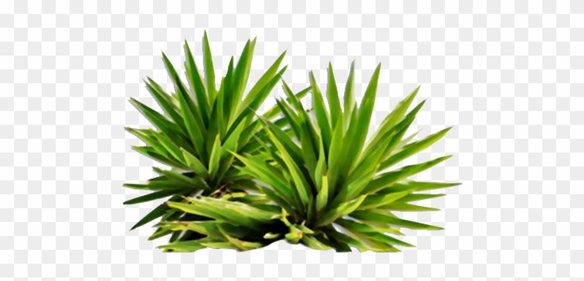 Sign In To Save It To Your Collection - Png Plants For Photoshop #330699