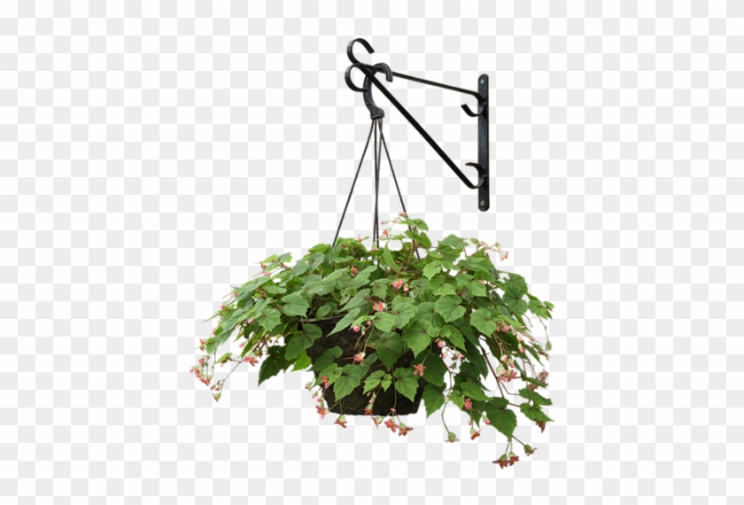 Zielono I Wiosennie - Hanging Flower Basket Clipart #330710