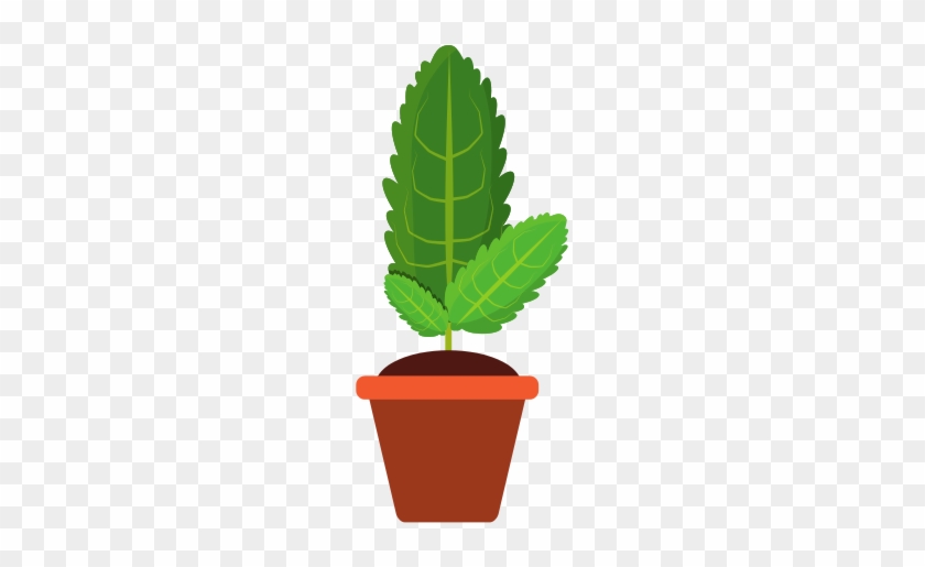 Plant In Pot Vector Illustration - Illustration #330743