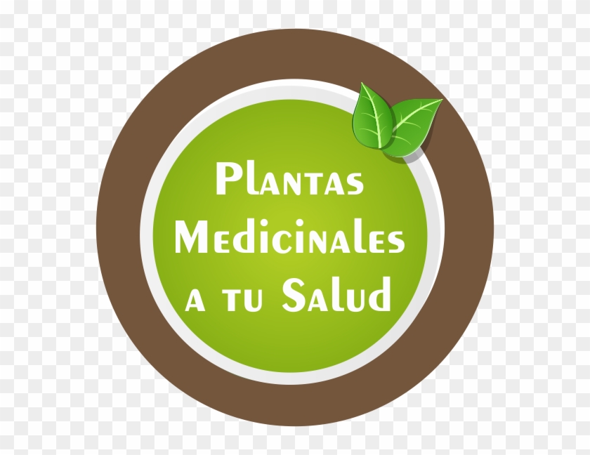 Fotos Propias, Y Otras Desde Pinterest Y Flickr - Medicinal Plants #330750